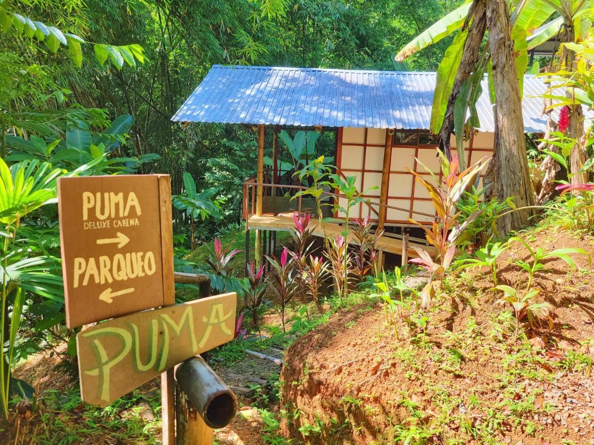 Cascada Elysiana Villa Platanillo Kültér fotó