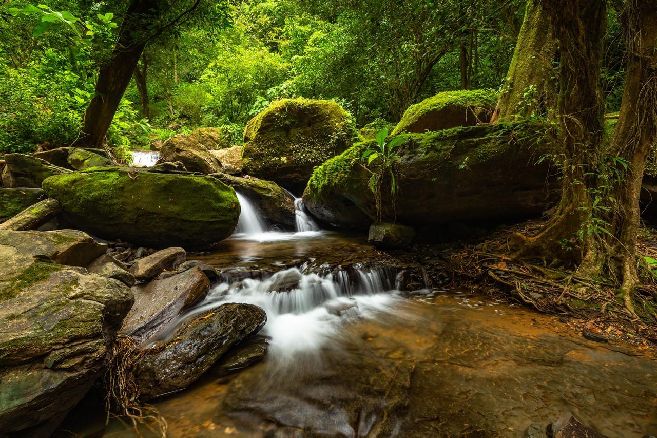 Cascada Elysiana Villa Platanillo Kültér fotó